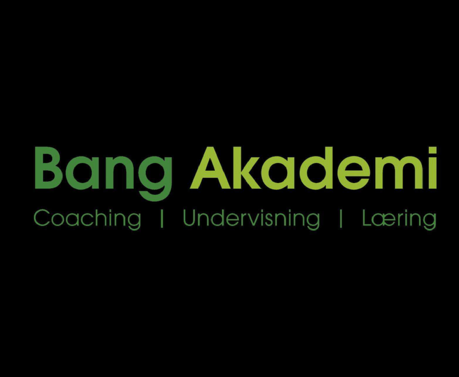 Coachuddannelsen Practitioner Coach uddannelse fra Bang-Akademi samarbejder med Coach.dk